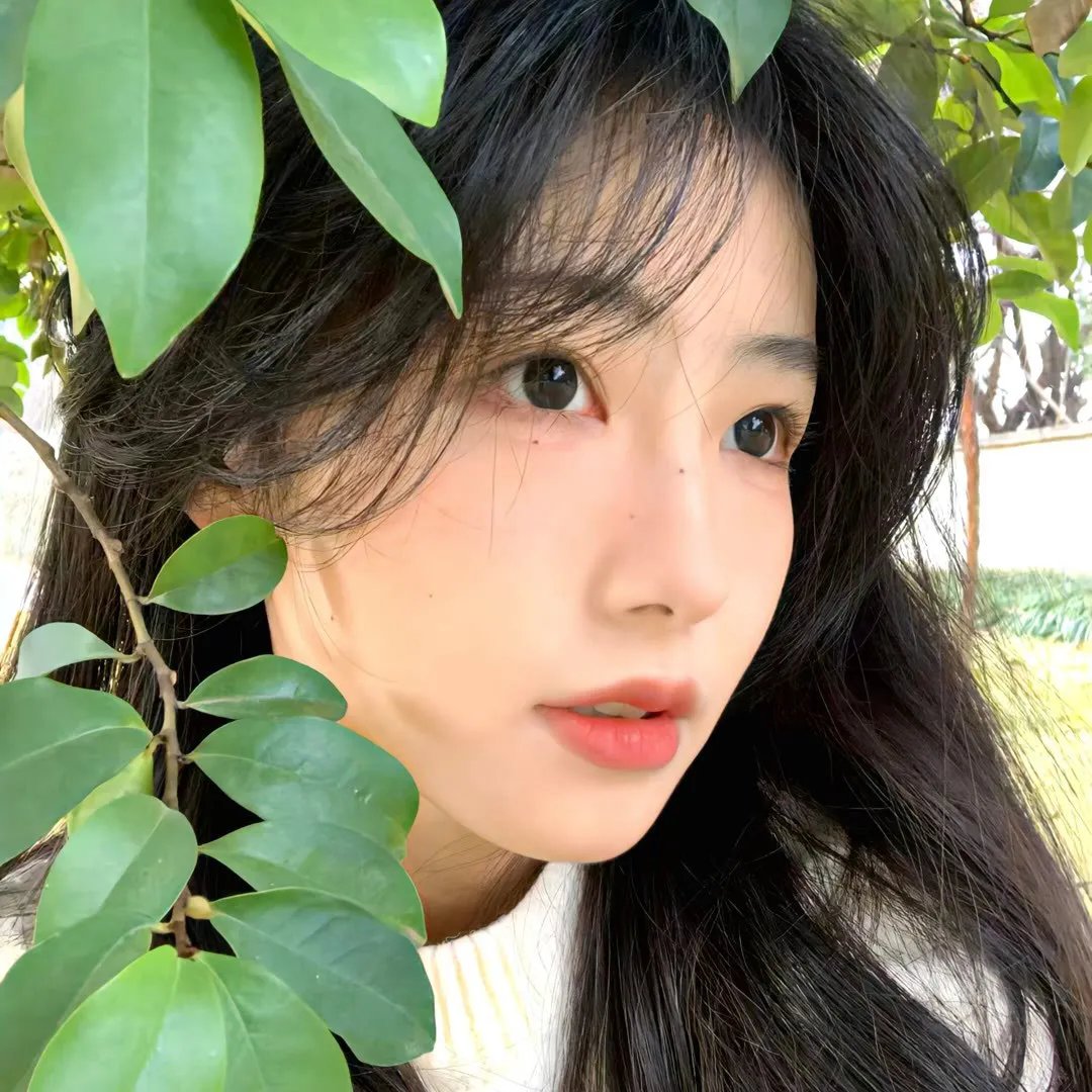 毛驴县令之你我他