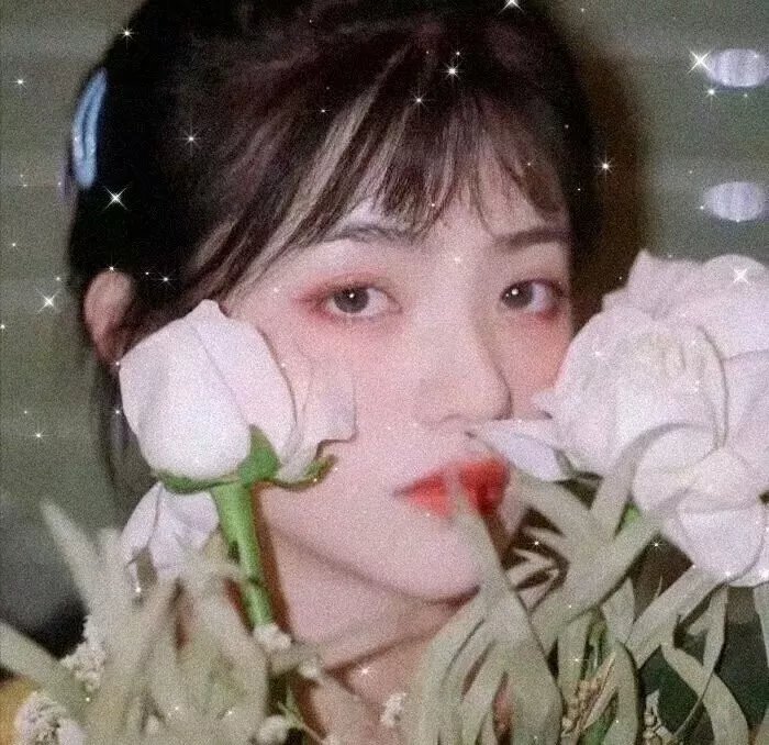 漂亮的公主